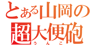 とある山岡の超大便砲（うんこ）