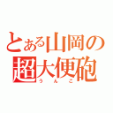 とある山岡の超大便砲（うんこ）