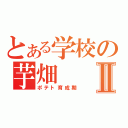 とある学校の芋畑Ⅱ（ポテト育成期）