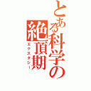 とある科学の絶頂期（エクスタシー）