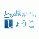 とある勘違い野郎のしょうこ（）