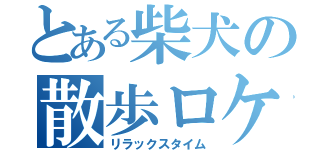 とある柴犬の散歩ロケ（リラックスタイム）