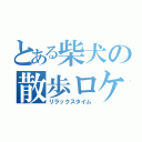 とある柴犬の散歩ロケ（リラックスタイム）