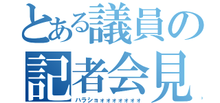 とある議員の記者会見（ハラショォォォォォォォ）