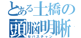 とある土橋の頭脳明晰（セバスチャン）