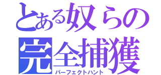 とある奴らの完全捕獲（パーフェクトハント）