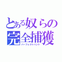 とある奴らの完全捕獲（パーフェクトハント）