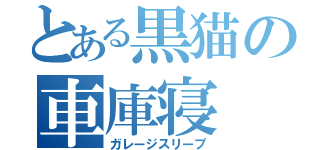 とある黒猫の車庫寝（ガレージスリープ）