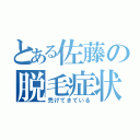 とある佐藤の脱毛症状（禿げてきている）