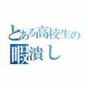 とある高校生の暇潰し（）