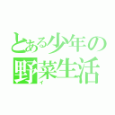 とある少年の野菜生活（イ）