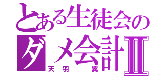 とある生徒会のダメ会計Ⅱ（天羽 翼）