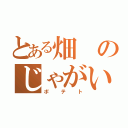 とある畑のじゃがいも（ポテト）