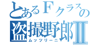 とあるＦクラスの盗撮野郎Ⅱ（ムッツリーニ）