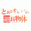 とあるオレンジの細長物体（‐ニンジン‐）