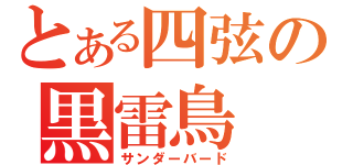 とある四弦の黒雷鳥（サンダーバード）