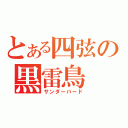 とある四弦の黒雷鳥（サンダーバード）