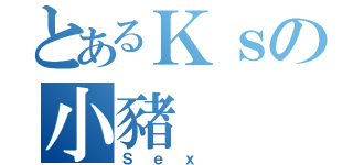 とあるＫｓの小豬（Ｓｅｘ ）