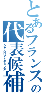 とあるフランスの代表候補（シャルロットデュノア）