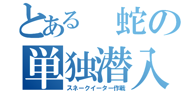 とある 蛇の単独潜入（スネークイーター作戦）