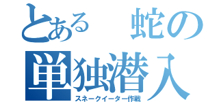 とある 蛇の単独潜入（スネークイーター作戦）