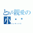 とある親愛の小宁宁（インデックス）