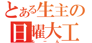 とある生主の日曜大工（もーん）