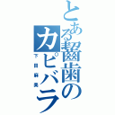 とある齧歯のカピバラ（下田麻美）