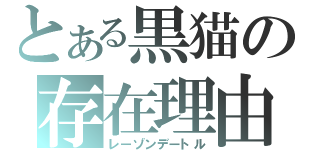 とある黒猫の存在理由（レーゾンデートル）
