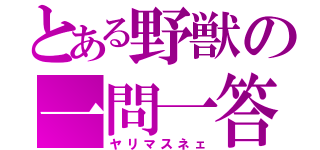 とある野獣の一問一答（ヤリマスネェ）