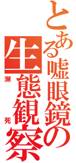 とある嘘眼鏡の生態観察（瀕　死）