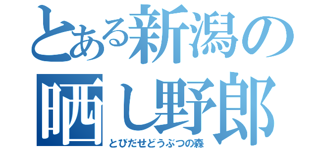 とある新潟の晒し野郎（とびだせどうぶつの森）