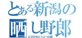 とある新潟の晒し野郎（とびだせどうぶつの森）