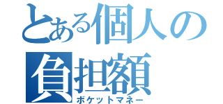 とある個人の負担額（ボケットマネー）