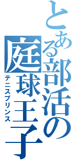 とある部活の庭球王子（テニスプリンス）