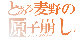 とある麦野の原子崩し（メルトダウナー）