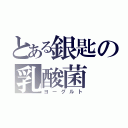 とある銀匙の乳酸菌（ヨーグルト）