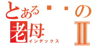 とある屌你の老母Ⅱ（インデックス）