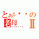 とある屌你の老母Ⅱ（インデックス）