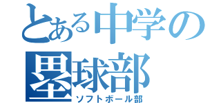 とある中学の塁球部（ソフトボール部）