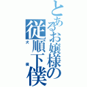 とあるお嬢様の従順下僕（犬僕）