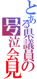 とある県議員の号泣会見（）