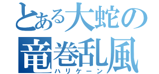 とある大蛇の竜巻乱風（ハリケーン）