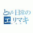 とある日常のエリマキ（トカゲ）