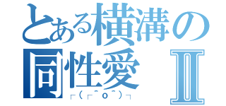 とある横溝の同性愛Ⅱ（┌（┌＾ｏ＾）┐）