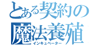 とある契約の魔法養殖（インキュベーター）