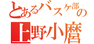 とあるバスケ部の上野小麿智（）