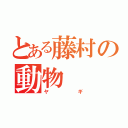 とある藤村の動物（ヤギ）