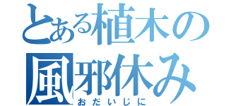 とある植木の風邪休み（おだいじに）