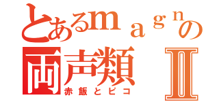 とあるｍａｇｎｅｔの両声類Ⅱ（赤飯とピコ）